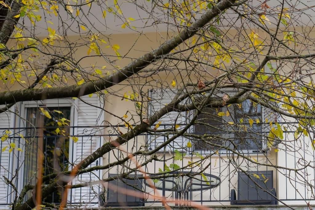 Apartment Mrb